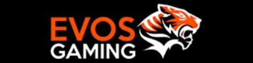 idevosgaming.com Logo